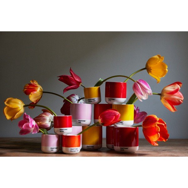 Светлорозова порцеланова чаша за капучино 175 ml Light Pink 182 – Pantone-image-1