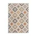 Кремав външен килим 160x230 cm Zion Natural – Flair Rugs