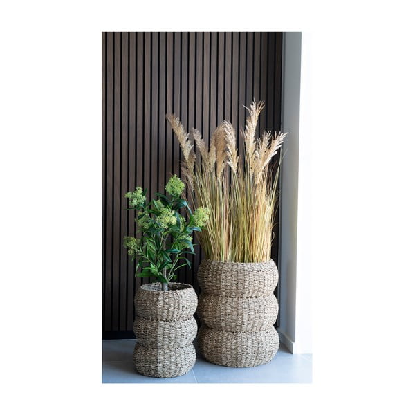 Изкуствено растение Skimmia - House Nordic-image-3