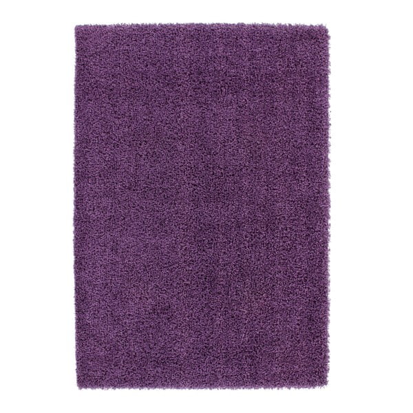 Koberec Guardian Violet, 160x230 cm