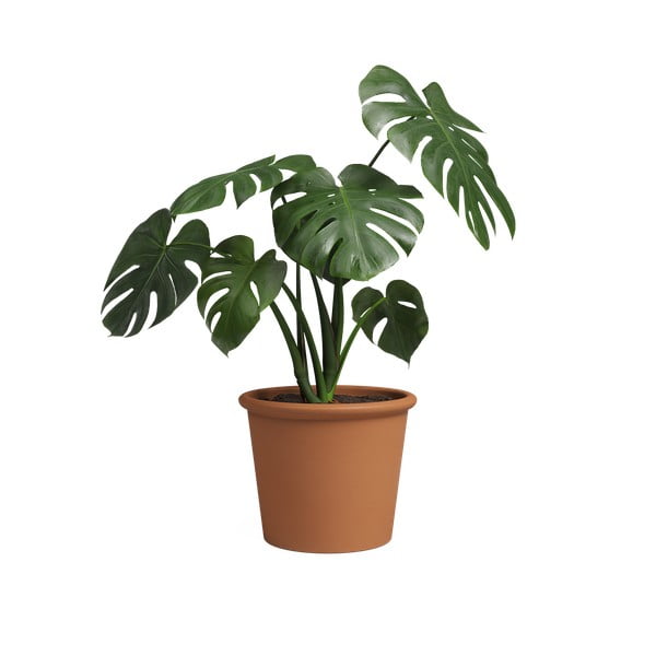 Теракотена саксия за цветя ø 39 cm Saramago Cilindro – Artevasi-image-3