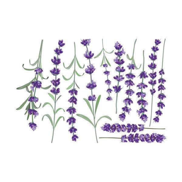 Комплект стикери за стена Levanders - Ambiance-image-2