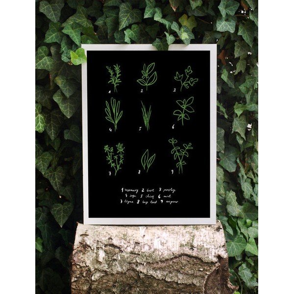 Plakát Herbs-image-1