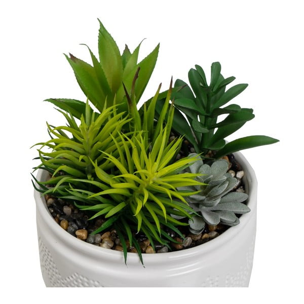 Изкуствени растения в комплект от 2 бр. (височина 19 cm) Cactus – Casa Selección-image-2