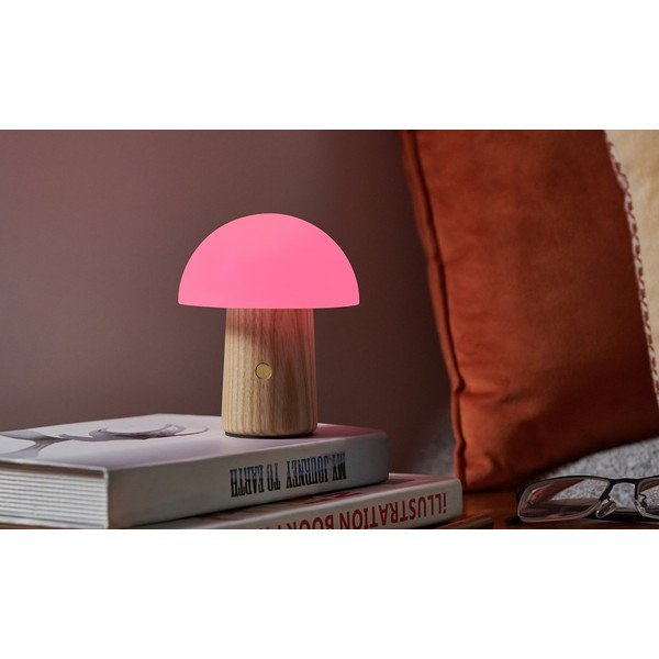 Настолна лампа с възможност за затъмняване в естествен цвят и стъклен абажур (височина 13 см) Alice - Gingko-image-4