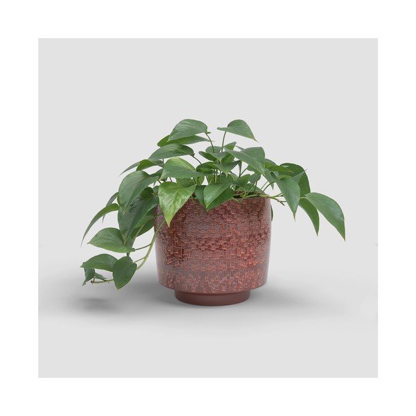 Керамично ръчно изработено покритие за кашпа ø 21 cm Minerva – Artevasi-image-3