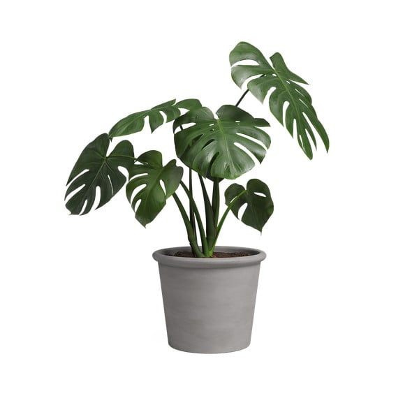 Теракотена саксия за цветя ø 18 cm Saramago Cilindro – Artevasi-image-1