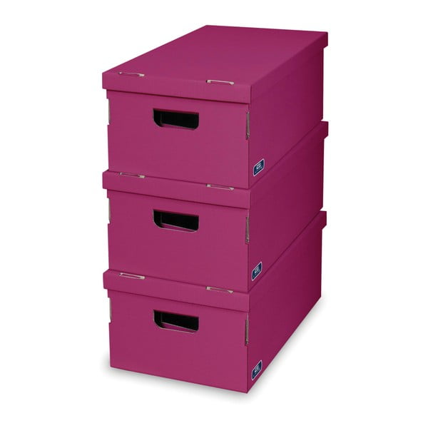 Комплект от 3 лилави кутии за съхранение Living - Domopak