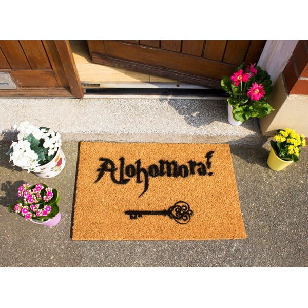 Рогозка от естествени кокосови влакна , 40 x 60 cm Alohomora - Artsy Doormats-image-1