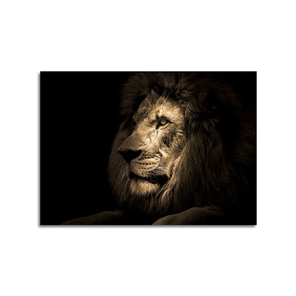 Картина върху стъкло 100x70 cm Lion - Styler