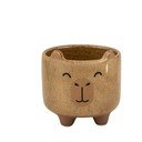 Глинено ръчно рисувано покритие за кашпа ø 7,5 cm Mojave Capybara – Sass & Belle