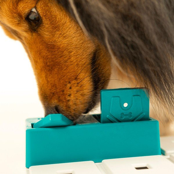 Пъзел за кучета Nai – Pawzler-image-2