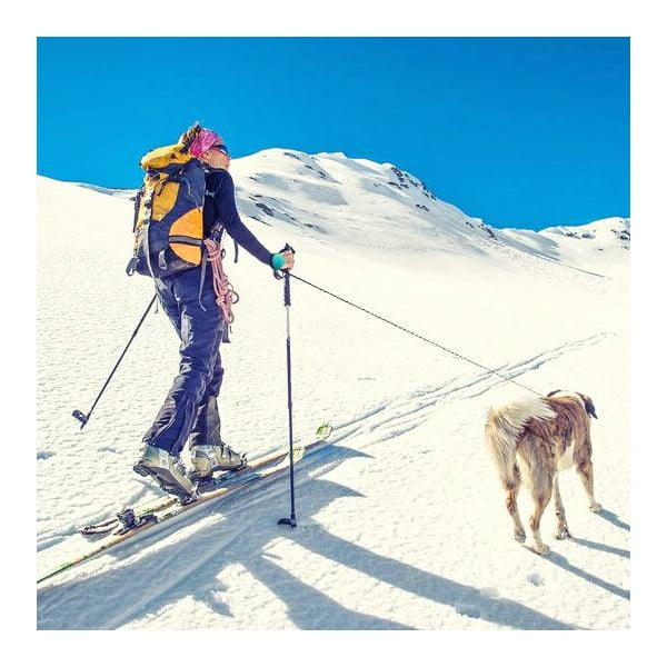 Синя каишка M 3 Bungee – Lishinu-image-3