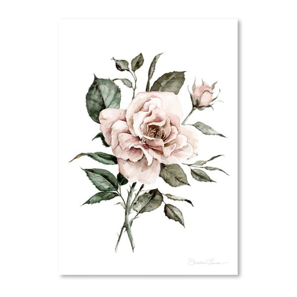 Плакат "Избледняла роза" от Шилин Луиз, 30 x 42 cm - Americanflat
