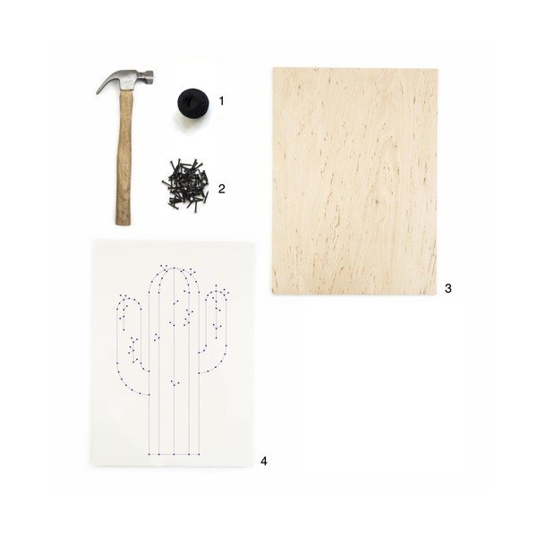 DIY obraz Really Nice Things Cactus, 40 x 60 cm-image-1