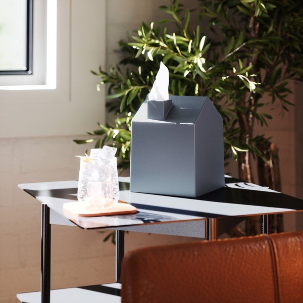 Пластмасова кутия за носни кърпички Casa – Umbra-image-1