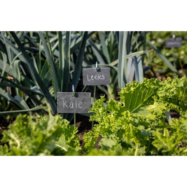 Шистова маса на пръчка - Esschert Design-image-1