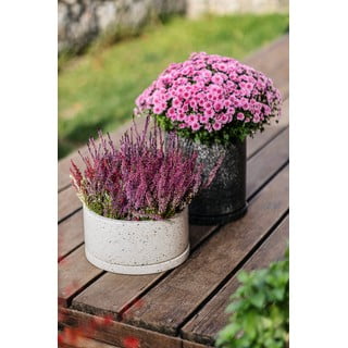 Комплект от 2 тъмносиви саксии, ø 26 cm Terrazzo - Bonami Selection