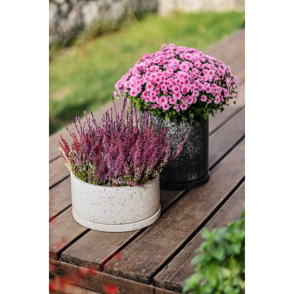Бетонни саксии в комплект от 2 броя ø 30 cm Terrazzo - Bonami Selection-image-1