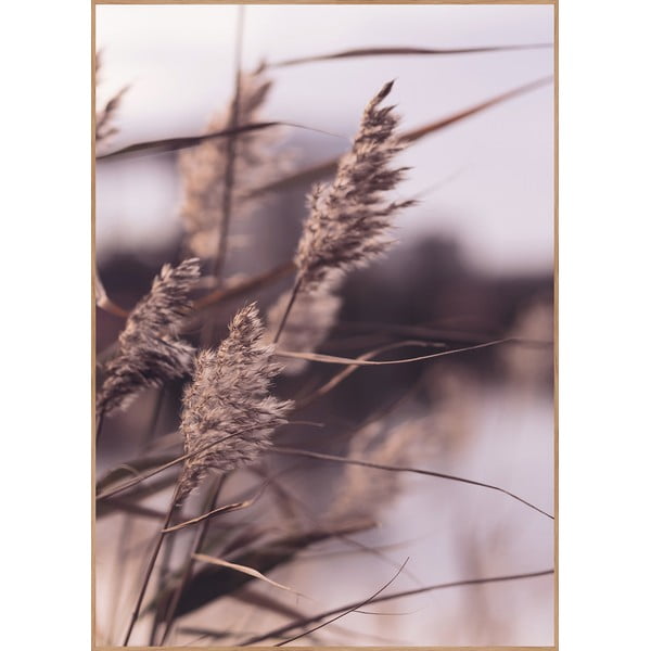 Постер с включена рамка 50x70 cm Mellow Grasses 3 – Malerifabrikken