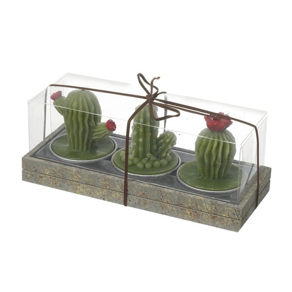Sada 3 svíček Heaven Sends Cactus