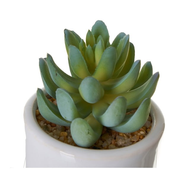 Изкуствени цветя в комплект от 4 Cactus - Casa Selección-image-2