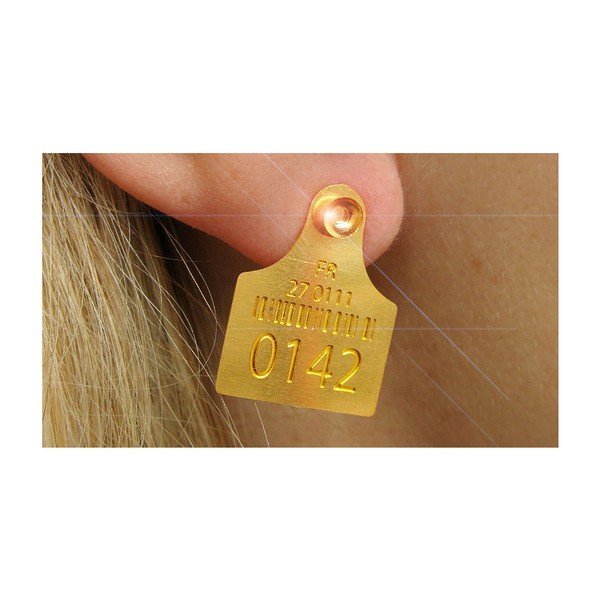 Náušnice Identification Tag-image-1