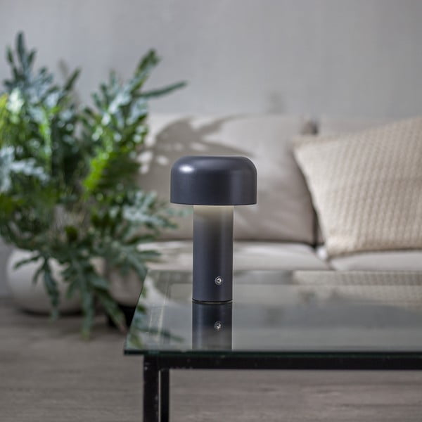 Сива LED настолна лампа (височина 21,5 cm) Bobby – Star Trading-image-1