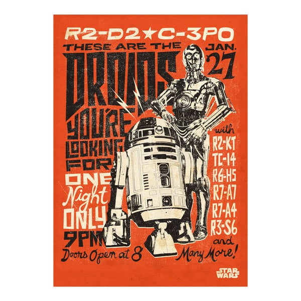 Nástěnná cedule PosterPlate Star Wars Legends - Droids