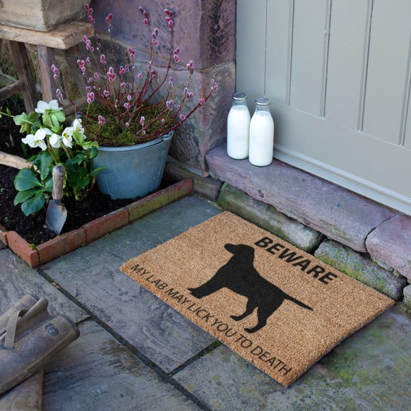Изтривалка от кокосови влакна 40x60 cm Labrador – Artsy Doormats-image-2