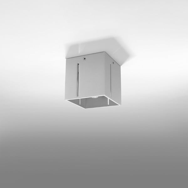 Сиво осветително тяло за таван с метален абажур 10x10 cm Pax – Nice Lamps