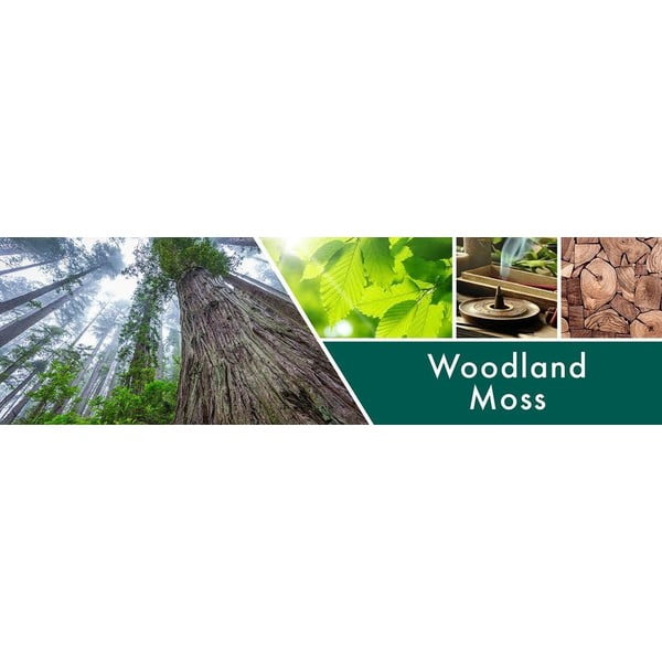Ароматна свещ в стъклена кутия, 35 часа време за горене Woodland Moss - Goose Creek-image-1