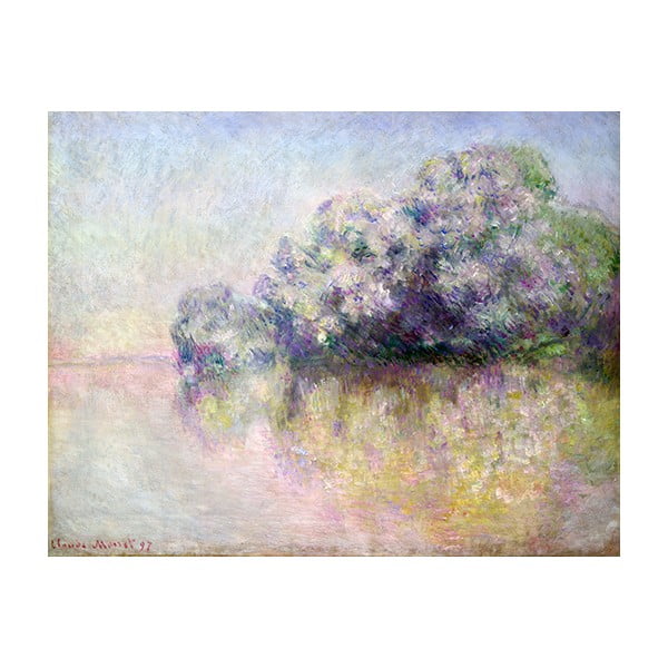 Obraz Claude Monet - Île aux Orties near Vernon, 50x40 cm