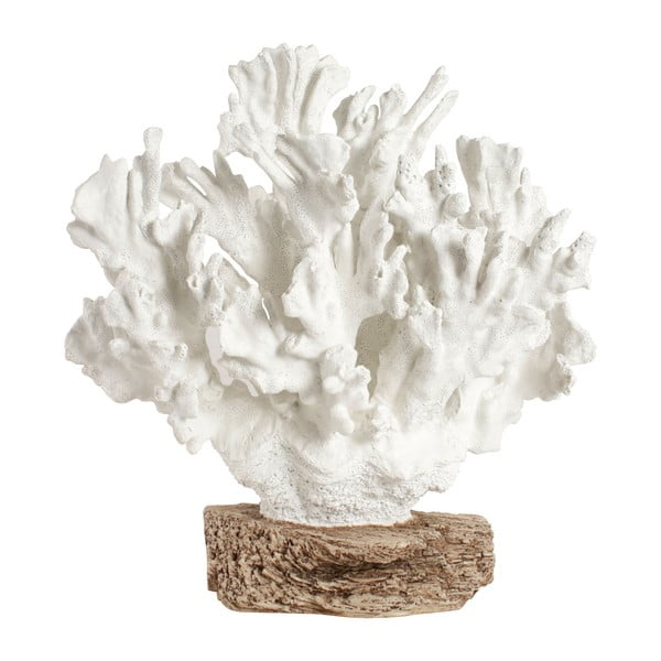 Dekorace Côté Table Coral