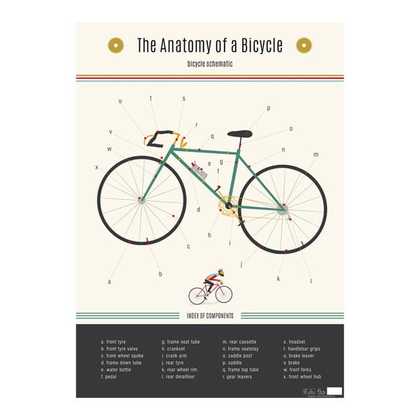 Nástěnný plakát Rex London Anatomy Of a Bicycle