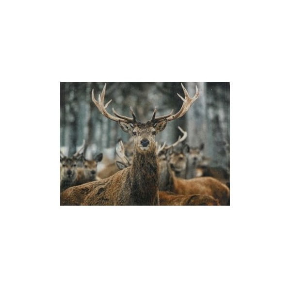 Prostírání Winter Deer 40x30 cm