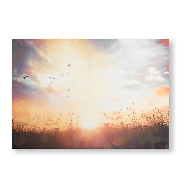 Изображение Спокойна поляна на залеза, 100 x 70 cm - Graham & Brown