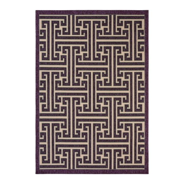 Tmavě fialový koberec vhodný do exteriéru Veranda, 230 x 160 cm