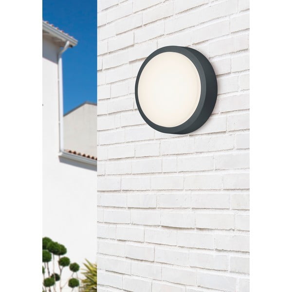 LED външно стенно осветление ø 20 cm Berg - Trio-image-4