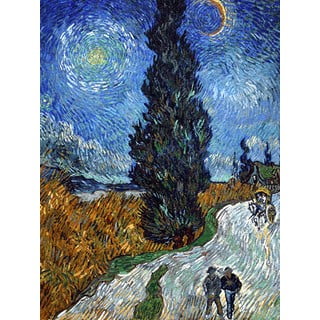 Репродукция на картина 45x60 cm Country road in Provence by night - Fedkolor