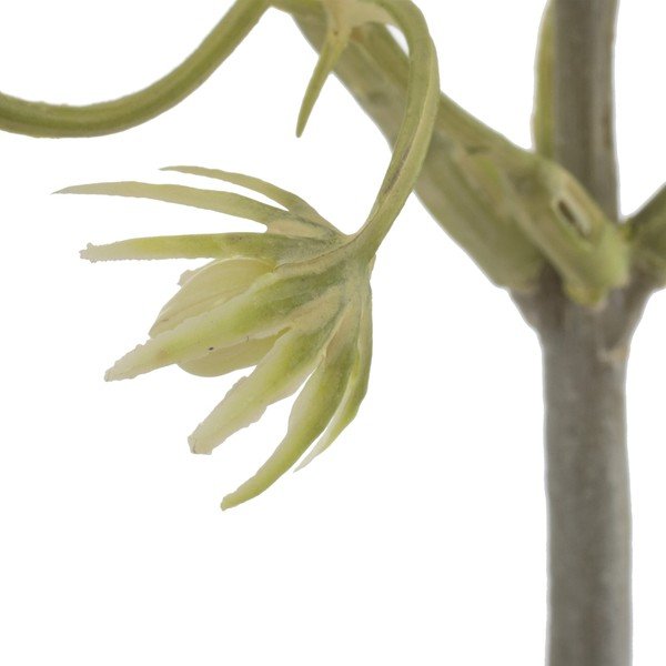 Изкуствена клонка (височина 55 cm) – Ixia-image-2