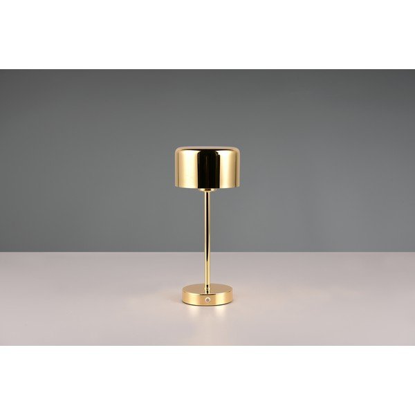 LED настолна лампа с възможност за димиране в златисто (височина 30 cm) Jeff - Reality-image-3