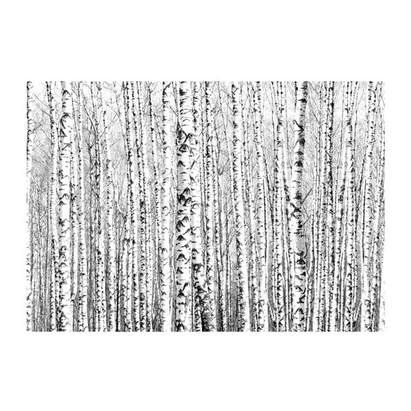 Широкоформатен тапет , 200 x 140 cm Birch Forest - Artgeist