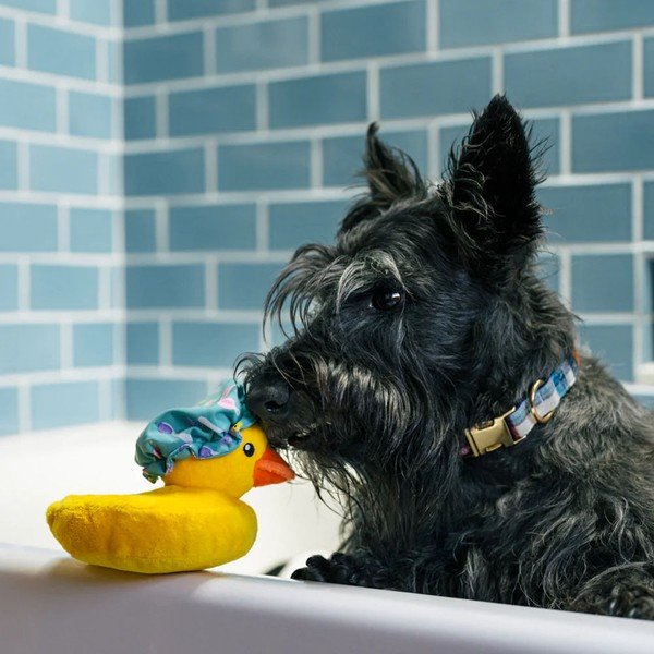 Играчка за куче Duck – P.L.A.Y.-image-1
