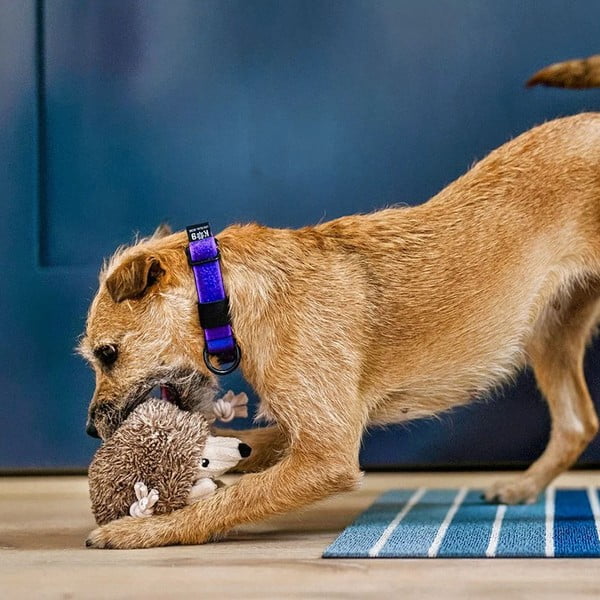 Играчка за куче Ježek – P.L.A.Y.-image-2