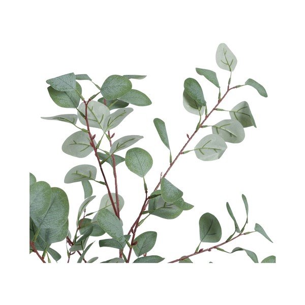 Изкуствен евкалипт (височина 180 cm) Eucalyptus – Ixia-image-2