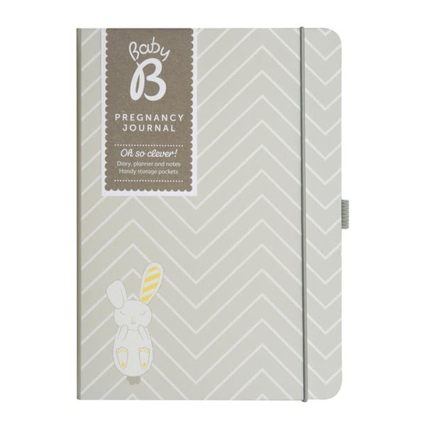 Deník pro těhotné maminky Pregnancy Journal-image-1