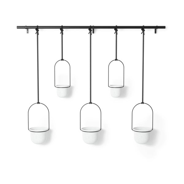 Пластмасови стенни/висящи кашпи в комплект от 5 бр. за билки ø 7,5 cm Triflora – Umbra