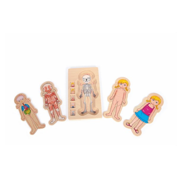 Дървена играчка анатомия момиче - Legler