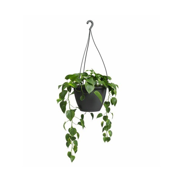 Пластмасова саксия за цветя ø 31 cm Algarve – Artevasi